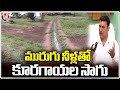 Ground Report On Vegetable Cultivation with Drainage Water |  V6 News