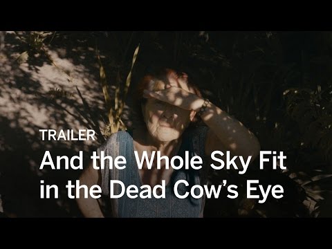 And the Whole Sky Fit in the Dead Cow's Eye'