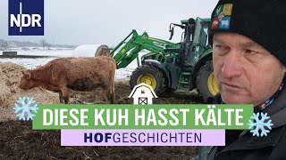 Wenn die Biogasanlage friert, wirds kritisch | Hofgeschichten (368) | NDR