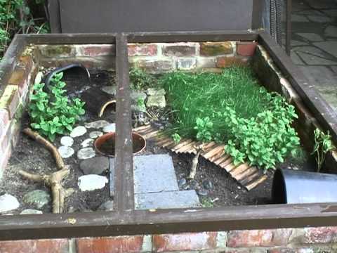 OUTDOOR TORTOISE ENCLOSURE - YouTube