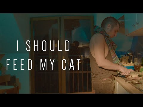 I Should Feed My Cat'