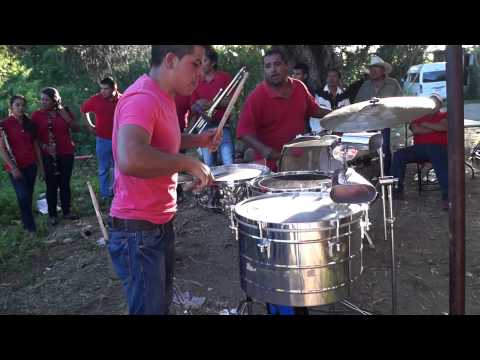 toro mambo banda aventurera