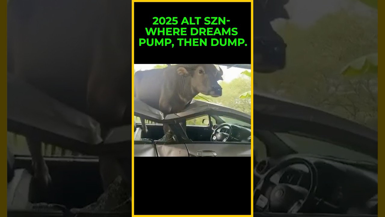 The 2025 Altcoin Season Summarized 😭 shorts