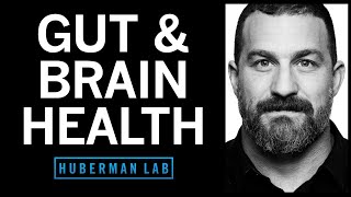 How to Enhance Your Gut Microbiome for Brain & Overall Health | Huberman Lab Podcast #61