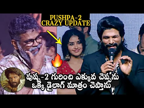 Allu Arjun about Pushpa II at 18 Pages pre-release event