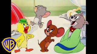 Tom a Jerry - Mazlíčci
