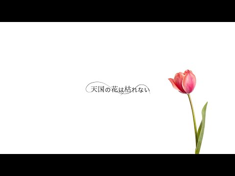 BIGMAMA - 天国の花は枯れない 2021remix (Audio)
