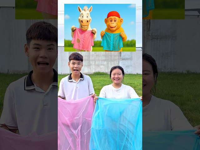 Con ngựa 🐴 và con khỉ 🙉 đổi áo mưa 👚🤣 #shorts