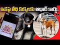 20 Stray Dogs Get Aadhaar Cards With QR Codes