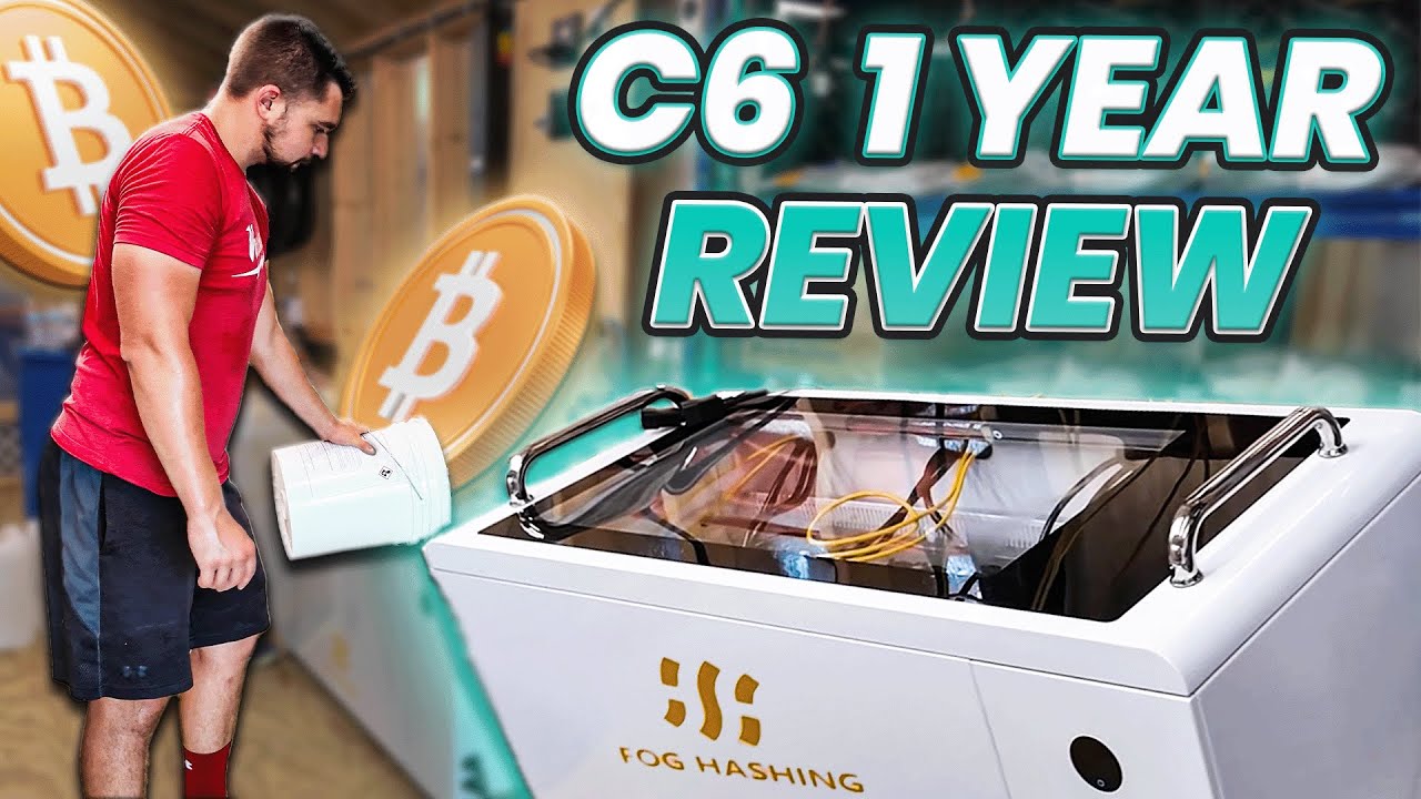1 Year Immersion Mining Review - Fog Hashing C6