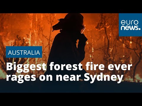 Australia's biggest forest fire ever rages on near Sydney