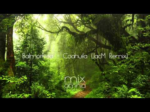 The Silent Forest - Chillstep Mix