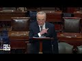 WATCH LIVE: Senate Majority Leader Schumer speaks on two-state solution for Israel and Palestinians  - 46:01 min - News - Video