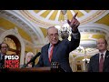 WATCH LIVE: Senate Majority Leader Schumer speaks on two-state solution for Israel and Palestinians