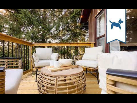 Property video