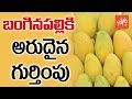 Banaganapalli mangoes of AP get GI tag