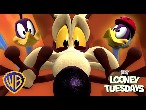 Wile E. Coyote Vs. Road Runner: Kto VYHRÁ?!