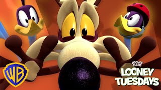  Wile E. Coyote Vs. Road Runner: Kto VYHRÁ?!