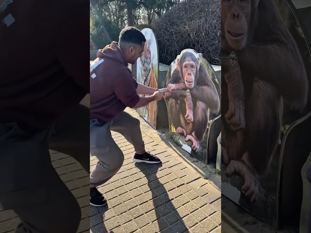 Humans vs. Animals Strength Test