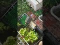 https://www.youtube.com/shorts/1EsivkY2Snk