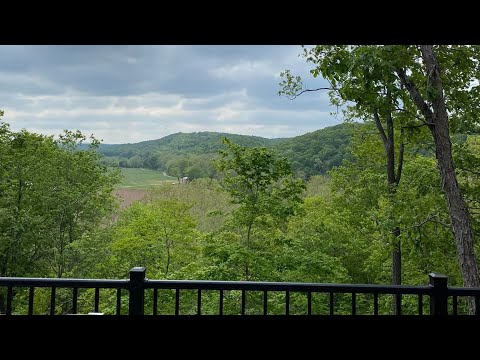Video der Unterkunft