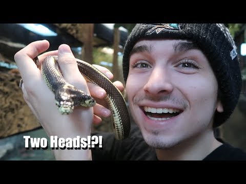 We Got A BIG TWO HEADED SNAKE!