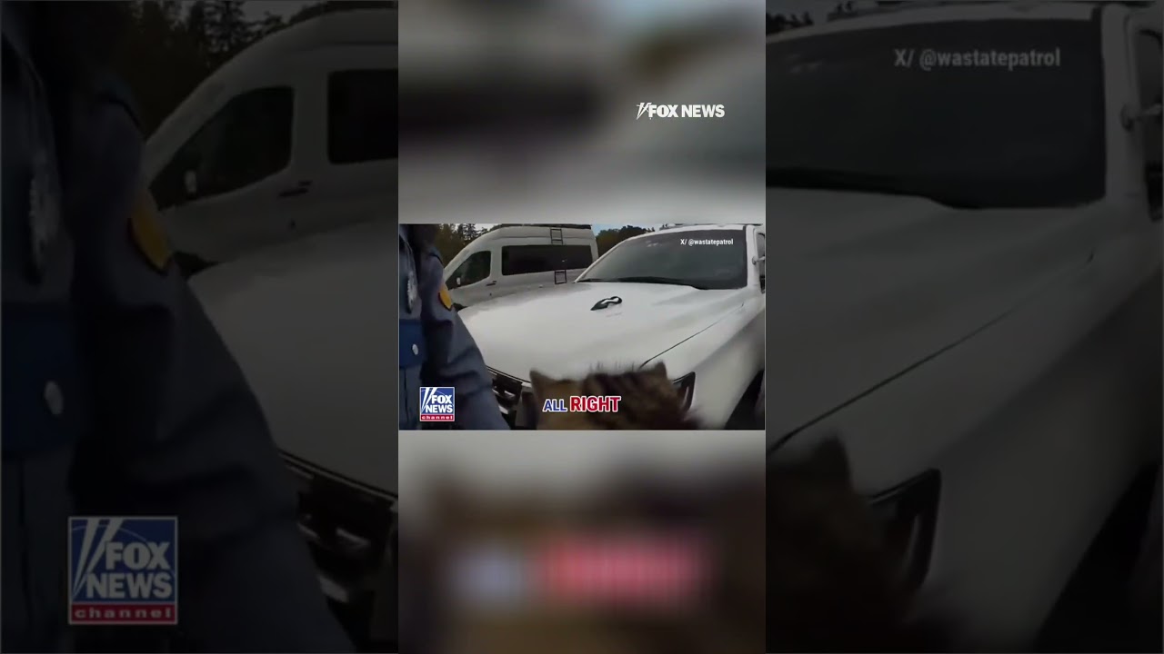 WATCH: Troopers rescue stranded kitten on a highway. #shorts #foxnews #news #us #fox #usa #media