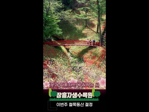 장흥자생수목원 철쭉동산 이번주 만개 예정