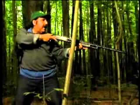 Bigfoot at Holler Creek Canyon'