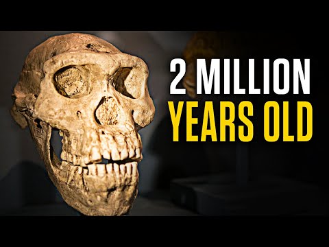 Нараквица од пред 60.000 години - најстарите предмети пронајдени на Земјата