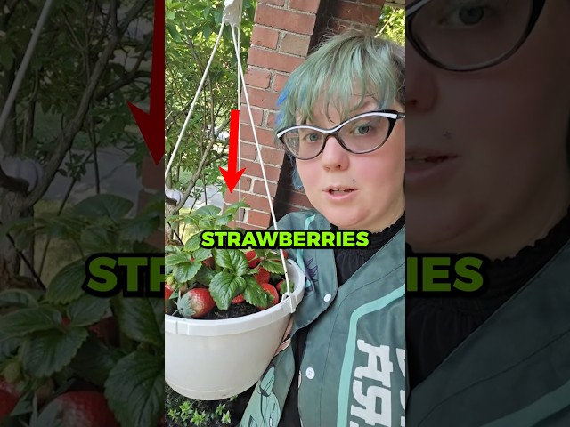 The Best Strawberry Hack 🍓