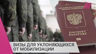 Личное: Будут ли страны ЕС выдавать визы для уклоняющихся от мобилизации?