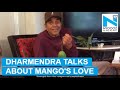 Dharmendra's love for mangoes is unmissable