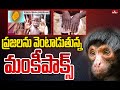 ప్రజలను వెంటాడుతున్న మంకీపాక్స్ | Monkeypox chasing people | Hmtv