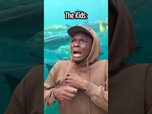 When kids go to the zoo
