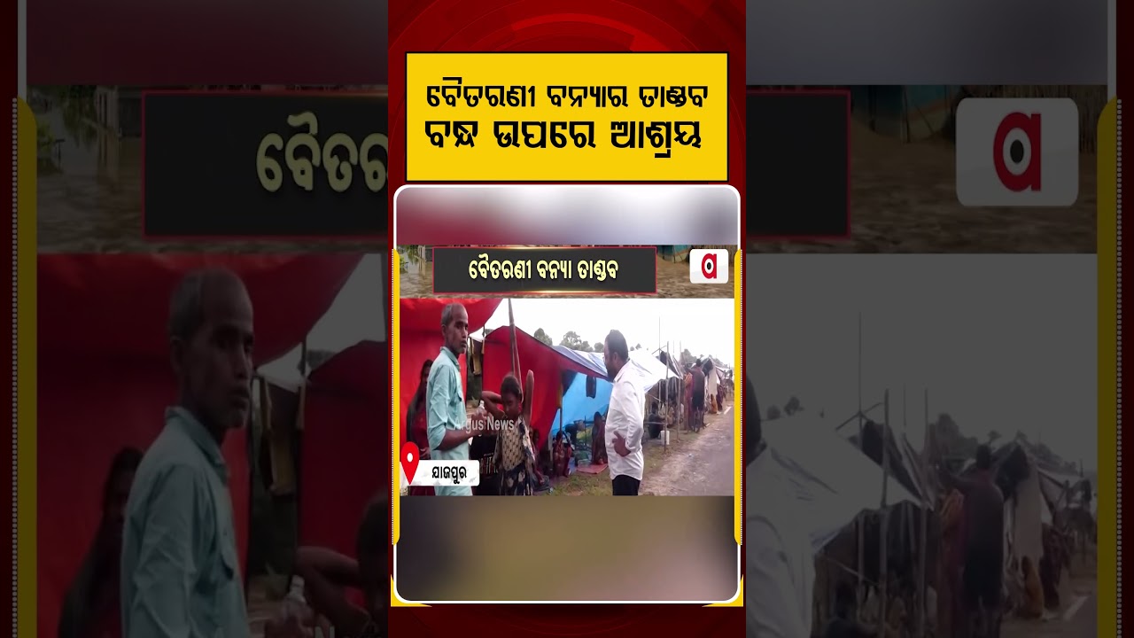 ବୈତରଣୀ ବନ୍ୟାର ତାଣ୍ଡବ | Argus Reels | JajpurFlood | DasarathpurFlood | OdishaFloodNews