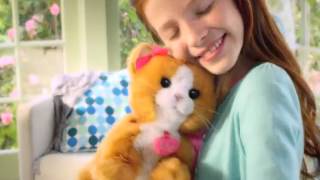 HASBRO A2003 Фур Риал. Интерактивная игривая кошечка Дейзи
