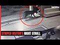 CCTV Footage: Tigress spotted at Bhopal University