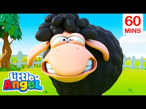 Baa Baa Black Sheep + 60 Minutes of Little Angel | Best Animal Videos | Kids Nursery Rhymes