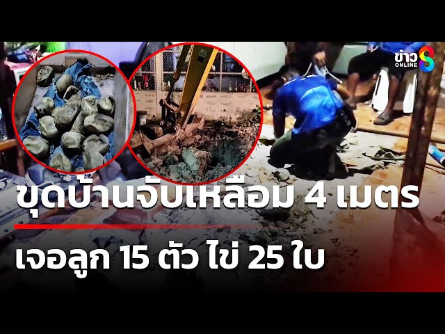 ขุดบ้านจับเหลือม 4 เมตร เจอลูก 15 ตัว ไข่ 25 ใบ | 7 ก.ค. 68 | คุยข่าวเช้าช่อง8