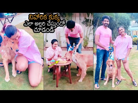 Niharika Konidela-Chaitanya celebrate pet dog Buzz’s first birthday, viral video Niharika Konidela-Chaitanya celebrate pet dog Buzz’s first birthday, viral video