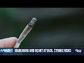 Study links cannabis use to heart problems  - 01:38 min - News - Video