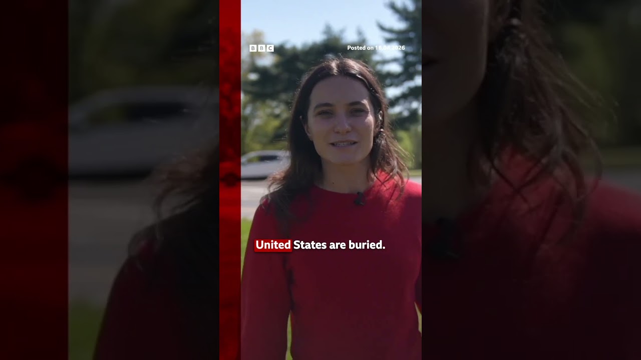 The Commission of Fine Arts has voted to move ahead with President Trump's plans. USNews BBCNews