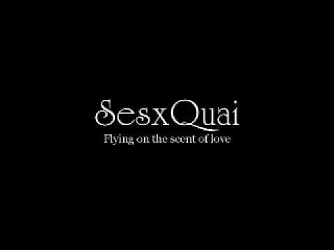 SesxQuai - Flying on the scent of love