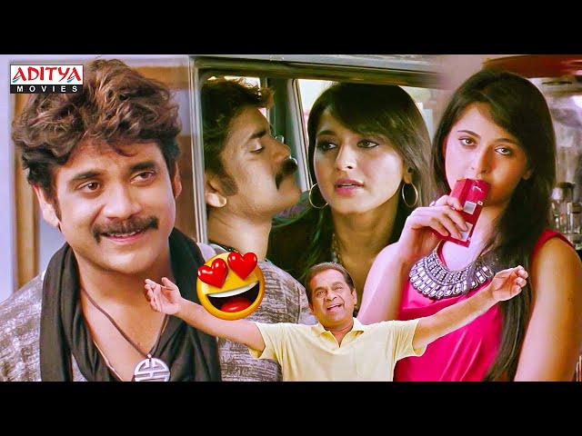 Ragada Hindi Dubbed Movie Scenes | Nagarjuna, Anushka | Brahmanandam | Priyamani |Aditya Movies