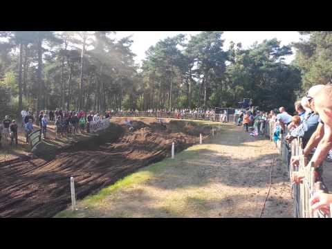 Cairoli show