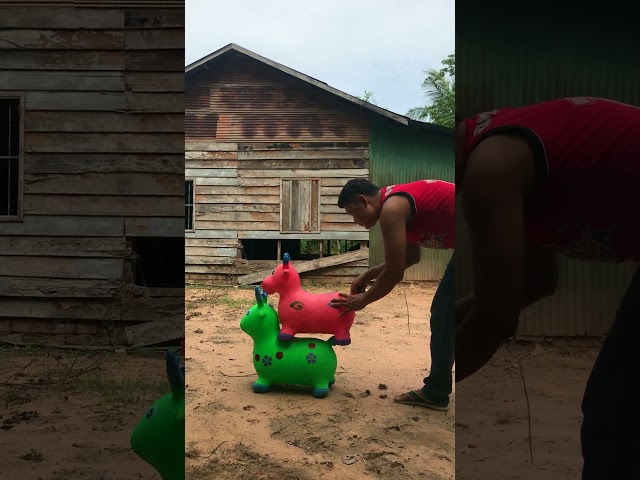 🧡🧡🧡Relaxing Goats Colors 🐐🐐🐐 #shortfeed2025