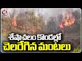 Fires Broke Out In Seshachalam Hills | Tirumala | V6 News