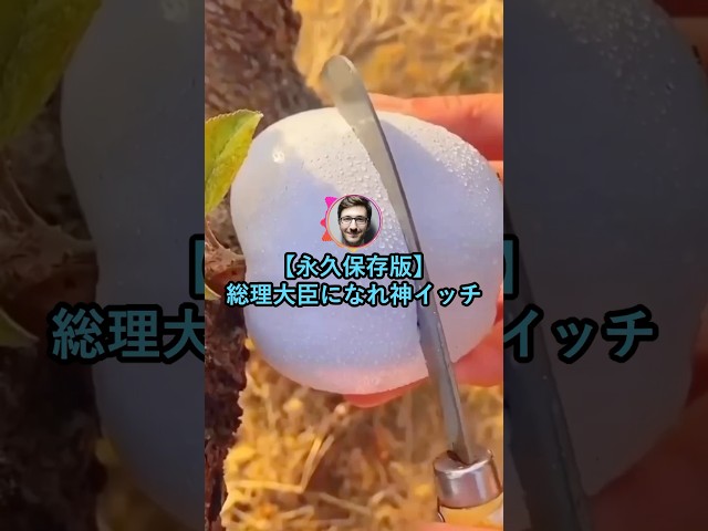 【永久保存版】総理大臣になれ神イッチ【2ch面白いスレ】