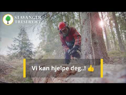 Stavanger TreService - Trefelling Og Trepleie Ekspert